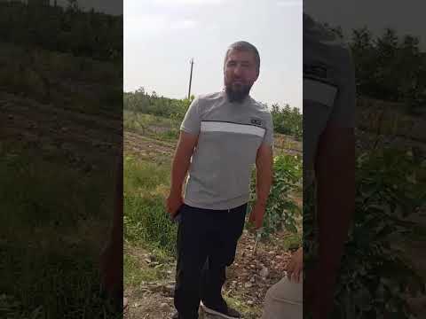 Видео: 6 октября 2025 г.