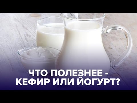 Видео: КЕФИР или ЙОГУРТ?