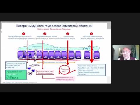 Видео: Разговор с профессором. «Негерметичная (дырявая) кишка – причина многих болезней»