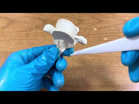 Видео: Кеуде омыртқаларының құрылысы