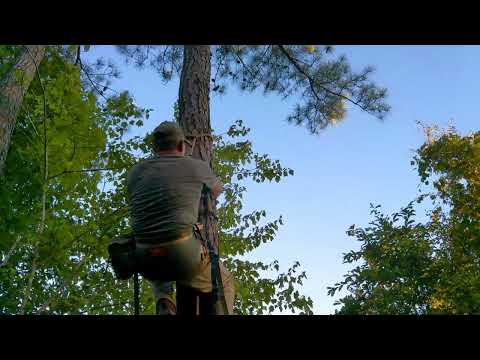 Видео: Самый лёгкий и дешёвый способ альпинизма для охоты с седла: «Aither»