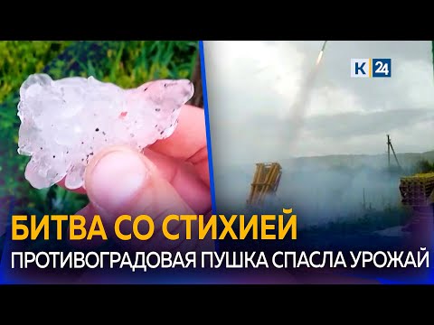 Видео: Убытки после града подсчитывают на Кубани