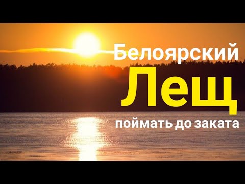Видео: Белоярка. Поймать до заката.