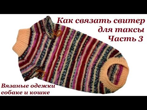 Видео: 15. Как связать свитер для таксы. Часть 3