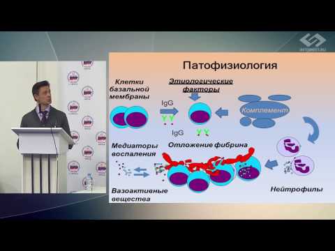 Видео: С.П. Казаков – Синдром Гудпасчера: алгоритм лабораторной диагностики