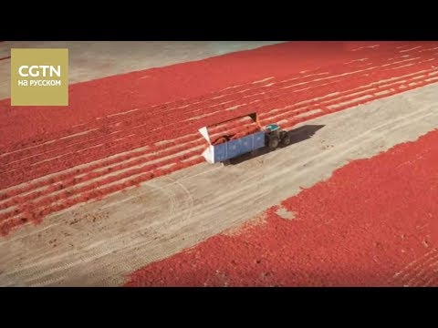 Видео: Китай с птичьего полета Серия 1 Синьцзян Часть 2 [Age0+]