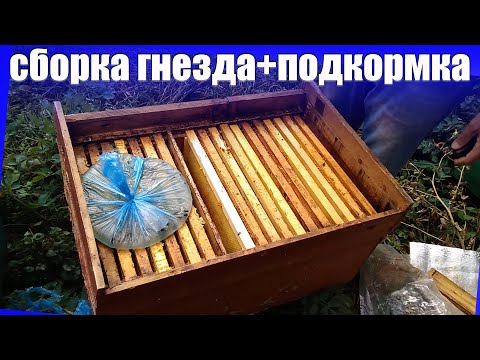Видео: Сборка гнезда пчел в лежаке на зиму. Сокращение гнезд пчелиных семей. 05.09.2019.