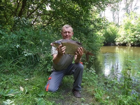 Видео: Ловля крупного леща на реке. На горох.