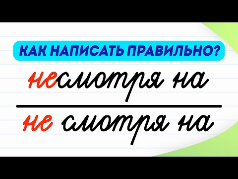 Видео: «Несмотря на» или «не смотря на» — как написать правильно? Предлоги | Русский язык