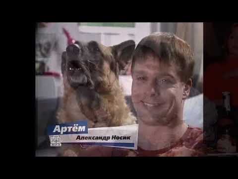 Видео: Артем и Мухтар