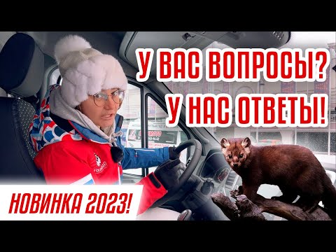 Видео: И снова о Соболе! | Соболь NN обзор | Часть 2