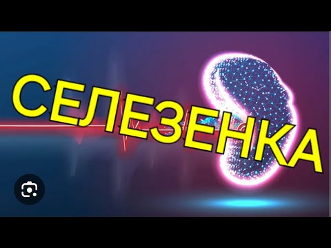 Видео: Селезёнка.Факты ,о которых Вы не знали.