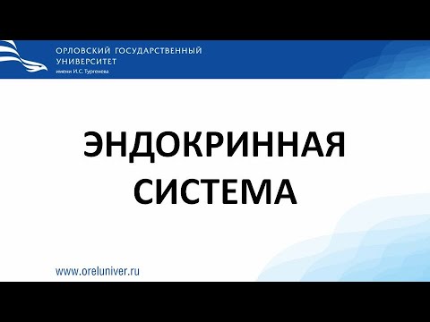 Видео: Эндокринная система. гистологические препараты