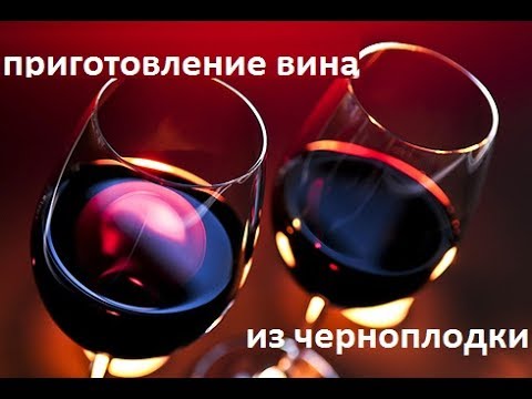 Видео: Приготовление вина из черноплодной рябины
