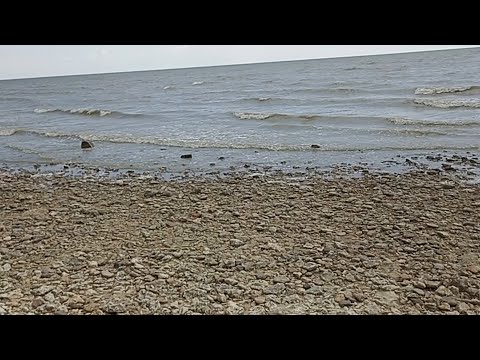 Видео: На Дону погода комфортная//Малыши растут//Море.