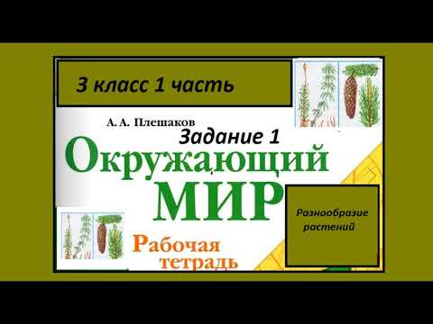 Видео: Разнообразие растений 1 задание. Окружающий мир 3 класс рабочая тетрадь. Нумеруем растения.