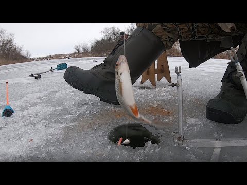 Видео: Рыбалка со льда, плотва, пулеметный клев.