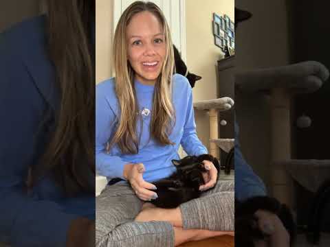 Видео: 13.11.25 Чат