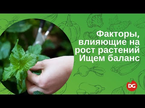Видео: №44 Факторы, влияющие на рост растений. Как найти баланс?