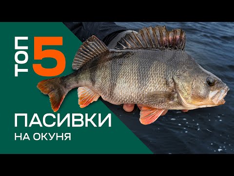 Видео: ТОП 5 Силіконових Приманок На Пасивного Окуня