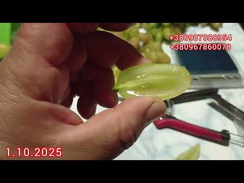 Видео: Чесний огляд Калугінських форм🍇 : плюси і мінуси !!!