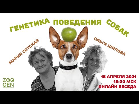 Видео: Генетика поведения собак