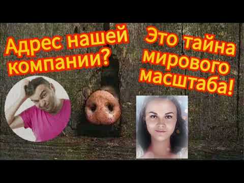Видео: Финансист-юрист или мошенник меняет профессию//Василиса против мошенников