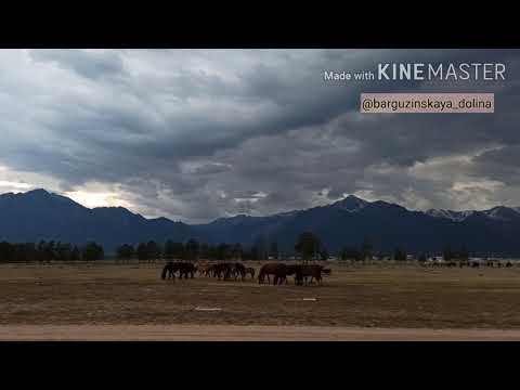 Видео: Курумканский район