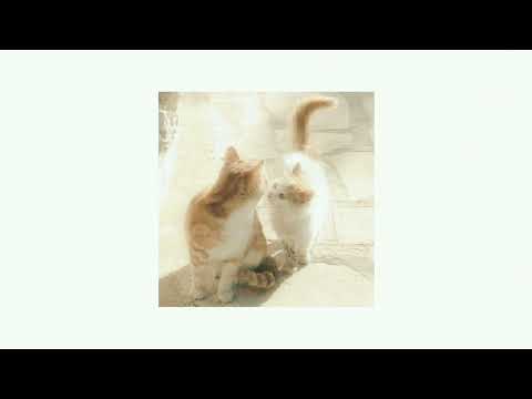 Видео: лолита - ориентация север (speed up)