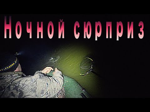 Видео: Разминка по НАЛИМУ перед Якутией. Разведка Нуры.