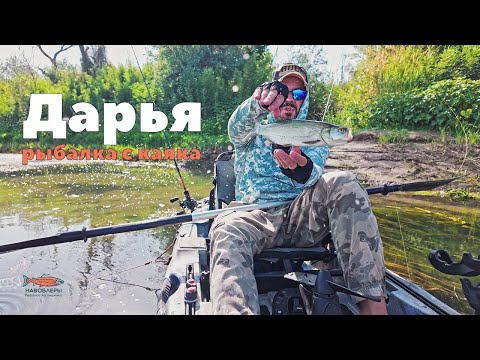 Видео: Сырдарья с каяками — жерех и змееголов в жаркий июнь