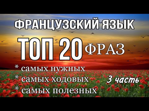 Видео: ТОП 20 УНИВЕРСАЛЬНЫХ  ФРАНЦУЗСКИХ ФРАЗ  | ЧАСТЬ 3 | французский по полочкам