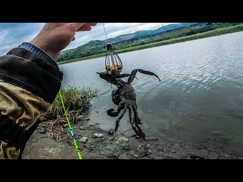 Видео: ДОНКИ / РЫБАЛКА НА ДОНКУ ОСЕНЬЮ / РЫБАЛКА НА РЕКЕ