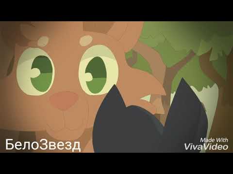 Видео: Пепелица и Огнезвезд[Коты Воители-Cats Warriors (Ханна-Невиновная{заказ:Koto-Vay uxixj}]