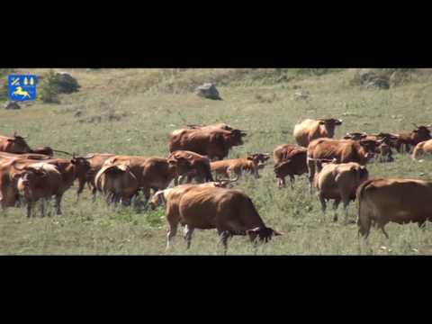 Видео: Фильм о Дуванском районе