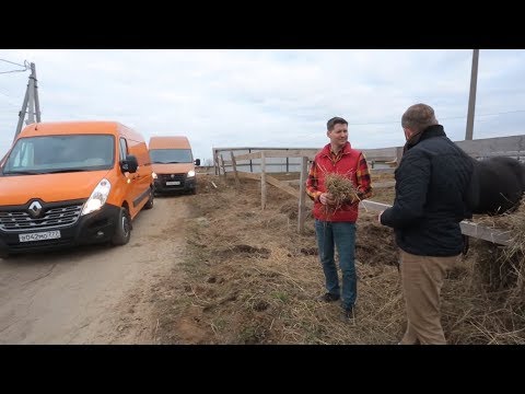 Видео: Что круче? ГАЗель NEXT ЦМФ VS Renault MASTER | Выбор есть!
