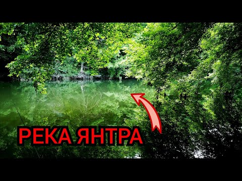 Видео: В ДЖУНГЛАТА! ОТКРИВАНЕ на РИБОЛОВА на РЕКА ЯНТРА!