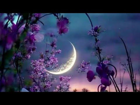 Видео: Стерх #ШестойЛесничий #Алиса #КонстантинКинчев #кавер #смул #дуэт #караоке #smule