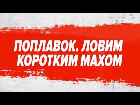 Видео: Как поймать 300 рыб за час на поплавок? Ловля коротким махом