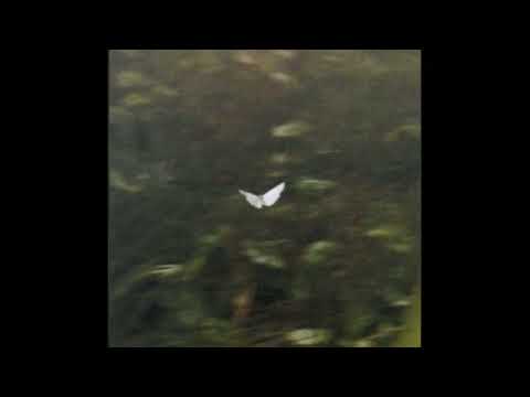 Видео: ssshhhiiittt - Дворы (speed up)