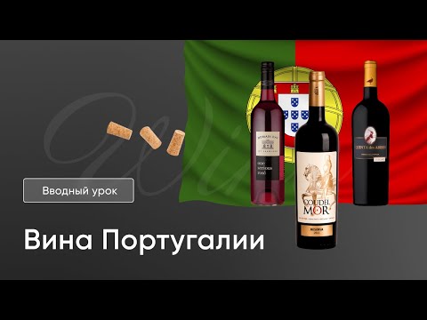 Видео: Курс "Вина Португалии". Вводный урок