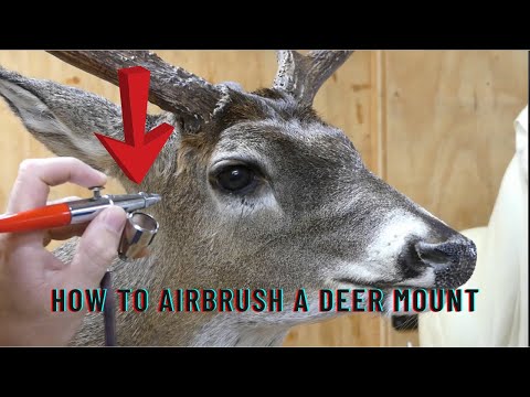 Видео: Как нарисовать оленя аэрографом
