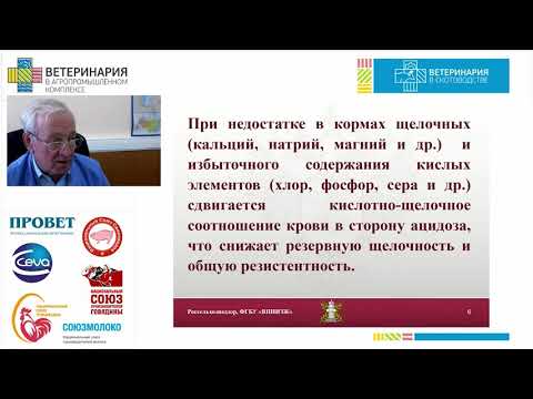Видео: МИЩЕНКО В. А. Метаболические болезни крупного рогатого скота как фактор иммунодефицитных...