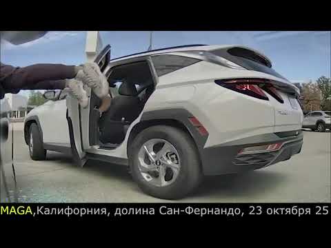 Видео: Ау. Ляпис Трубецкой (песня)