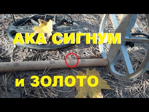 Видео: ЗАЧЕМ НУЖНА ВЫСОКАЯ ЧАСТОТА. АКА СИГНУМ ,Сравнение катушек