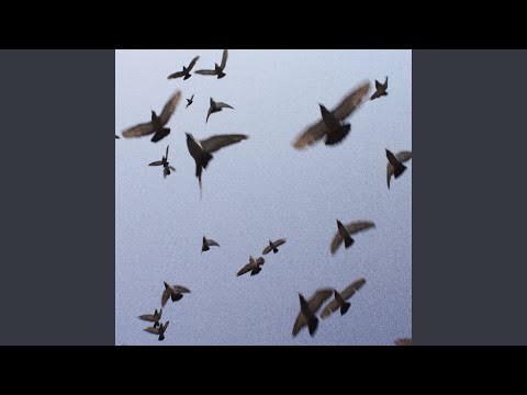 Видео: хтось когось