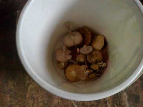 Видео: Окрестности Норильска. До реки Рыбная на самоделке.