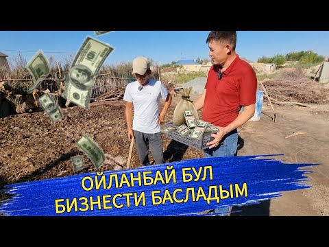 Видео: БУЛ БИЗНЕСТИ ТЕЗИРЕК БАСЛАЙМЫЗ.