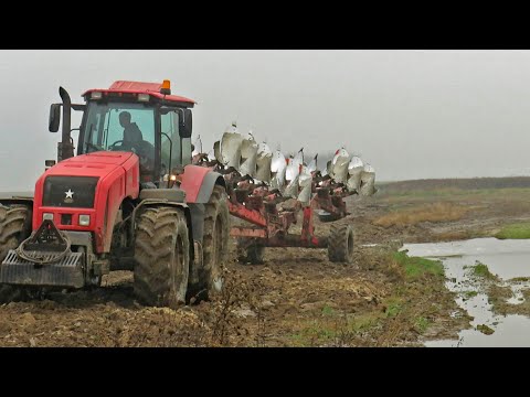 Видео: [Осенняя вспашка] БЕЛАРУС 3522 + VOGEL & NOOT Herkules 1000