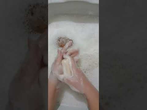 Видео:     ✨️НА ГЕЛЬ✨️